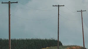 Wood preservation thumbnail